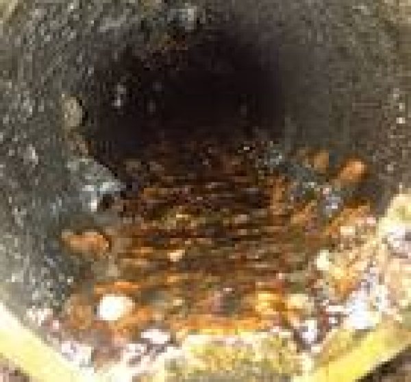 images (1)